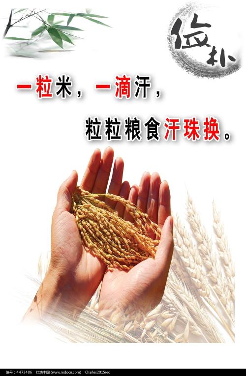 加勒比中心大学本科offer
